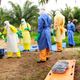 Illustration for article titled Two New Cases Of Ebola Have Surfaced In Guinea